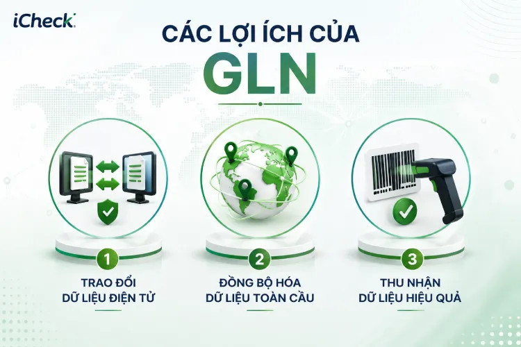 cac loi ich cua gln