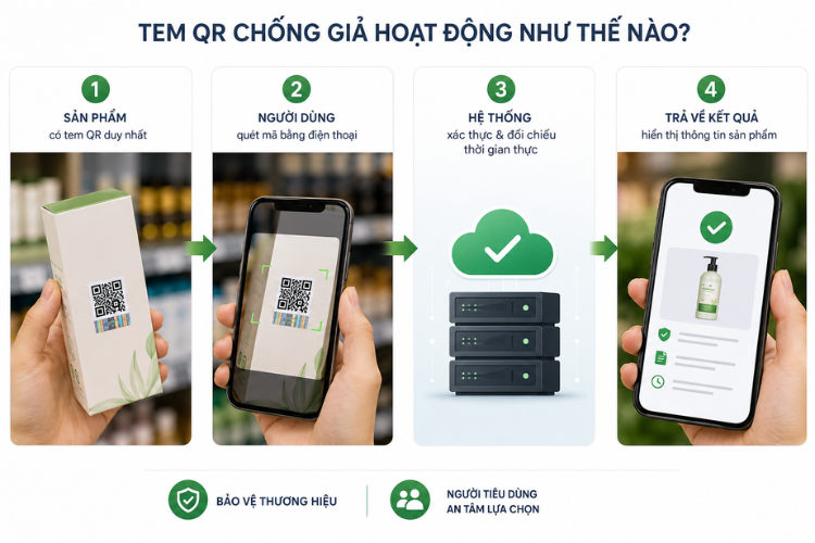 Quy trình xác thực sản phẩm bằng tem QR chống giả từ lúc quét mã đến khi nhận kết quả