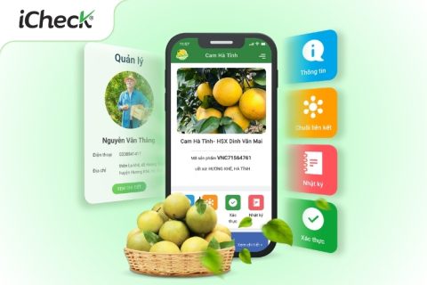 tem truy xuất nguồn gốc