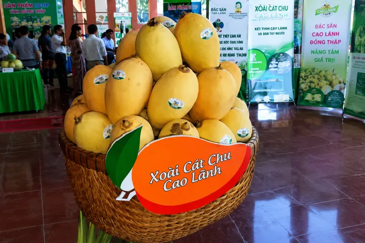 truy xuất nguồn gốc xoài cát chu
