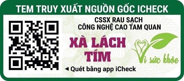 Truy xuất nguồn gốc rau xà lách tím bằng iCheck