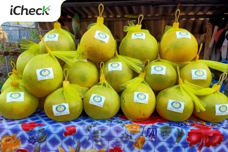 Bưởi Diễn - Hợp tác xã nông sản Lương Phong