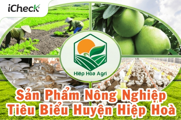 iCheck cung cấp hệ thống truy xuất nguồn gốc chuẩn quốc gia cho huyện Hiệp Hòa, Bắc Giang