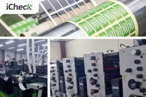 in tem chống hàng giả iCheck