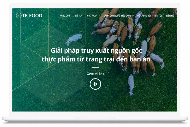 Giao diện web truy xuất nguồn gốc của TE-FOOD