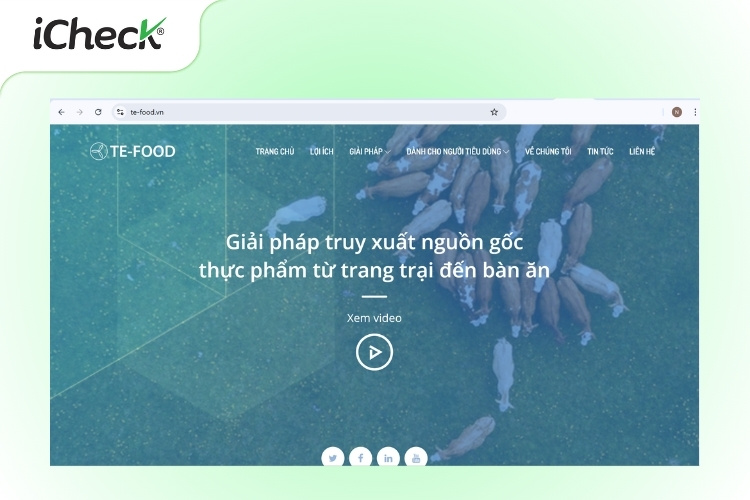 Giao diện web truy xuất nguồn gốc của TE-FOOD