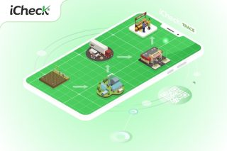quy trình truy xuất nguồn gốc sản phẩm
