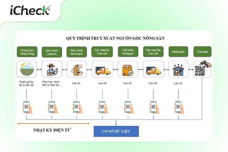 Ảnh minh họa quy trình truy xuất nguồn gốc nông sản