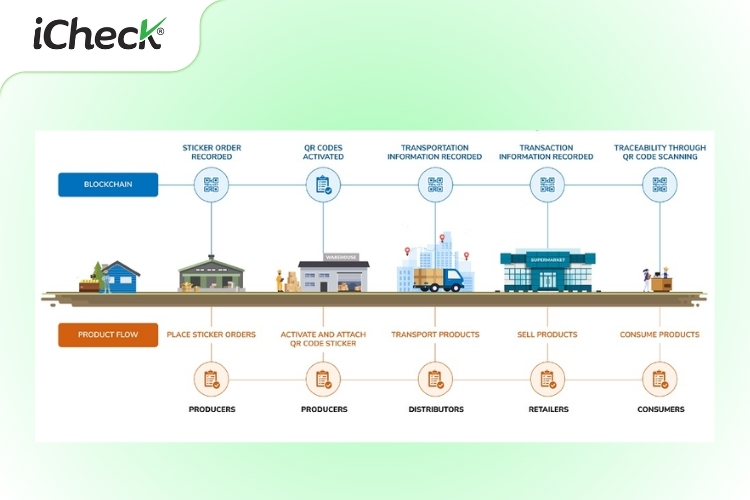 Sơ đồ minh họa quy trình truy xuất nguồn gốc Blockchain