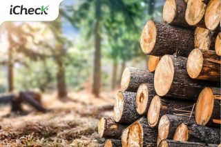 truy xuất nguồn gốc lâm sản