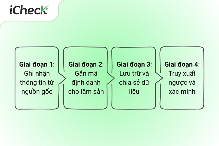 Quy trình 4 giai đoạn truy xuất nguồn gốc lâm sản