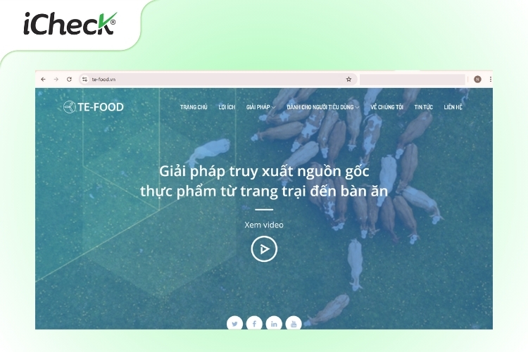 Giao diện web truy xuất nguồn gốc của TE-FOOD