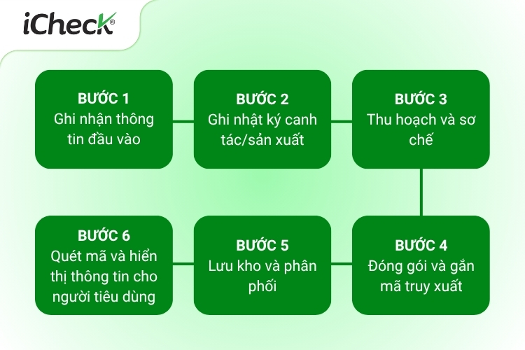 Quy trình 6 bước triển khai truy xuất nguồn gốc sản phẩm nông nghiệp