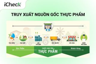 truy xuất nguồn gốc thực phẩm