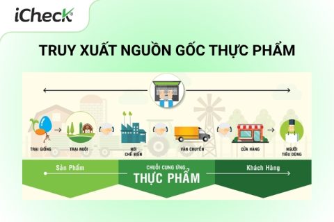 truy xuất nguồn gốc thực phẩm