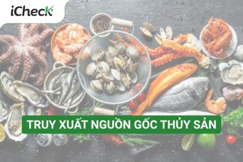 truy xuất nguồn gốc thủy sản