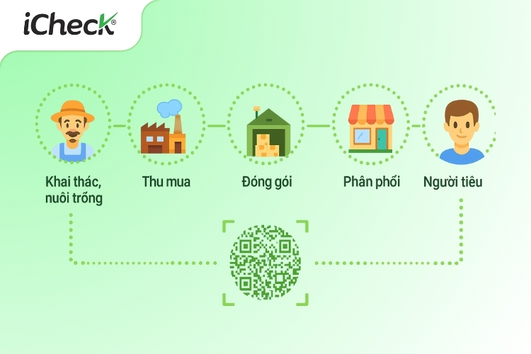 Quy trình 5 bước truy xuất nguồn gốc thủy sản