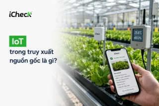 IoT trong truy xuất nguồn gốc là gì? Lợi ích, ứng dụng và cách triển khai hiệu quả
