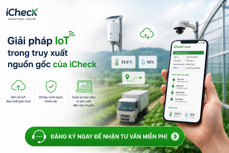 CTA IoT