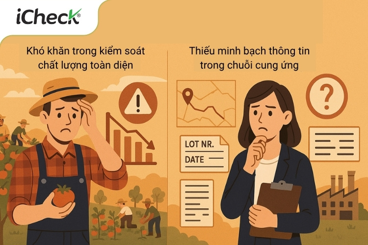 Một số thách thức của Oga Sachi trước khi ứng dụng hệ thống truy xuất của iCheck Trace