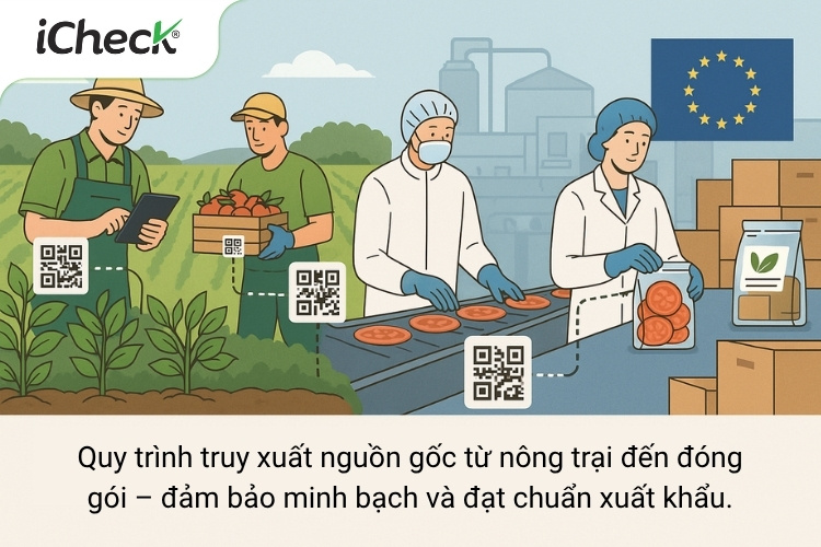 Oga Sachi ứng dụng thành công hệ thống truy xuất nguồn gốc của iCheck Trace