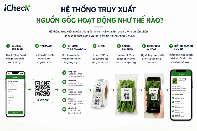 Quy trình vận hành của một hệ thống truy xuất nguồn gốc