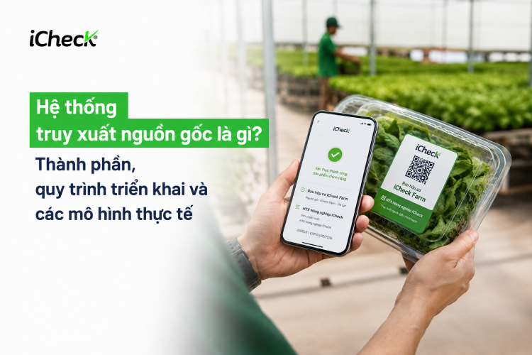 Hệ thống truy xuất nguồn gốc là gì? Thành phần, quy trình triển khai và các mô hình thực tế 
