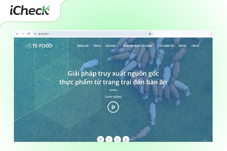 Website truy xuất nguồn gốc của TE-FOOD
