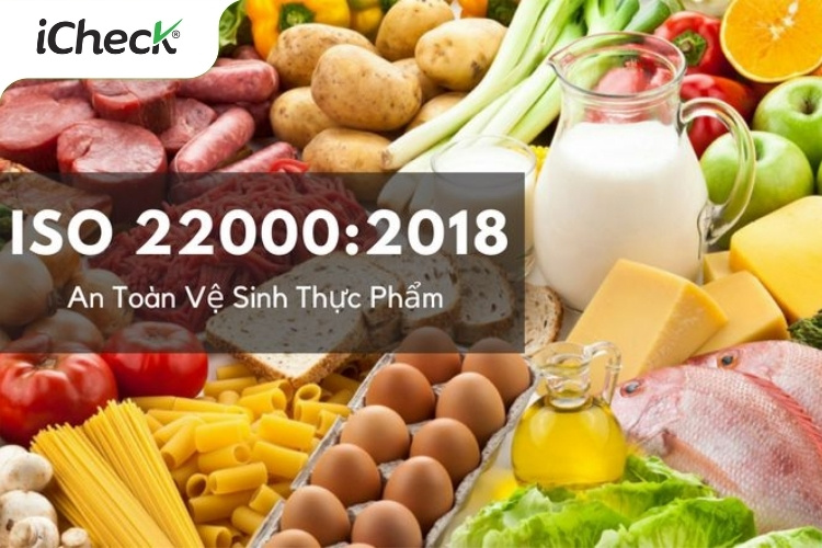 tieu chuan iso haccp anh huong gi den tem truy xuat san pham 1