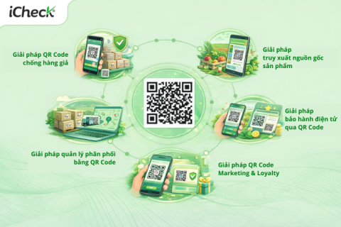 Top 5 giải pháp QR Code cho doanh nghiệp sản xuất & phân phối (B2B)