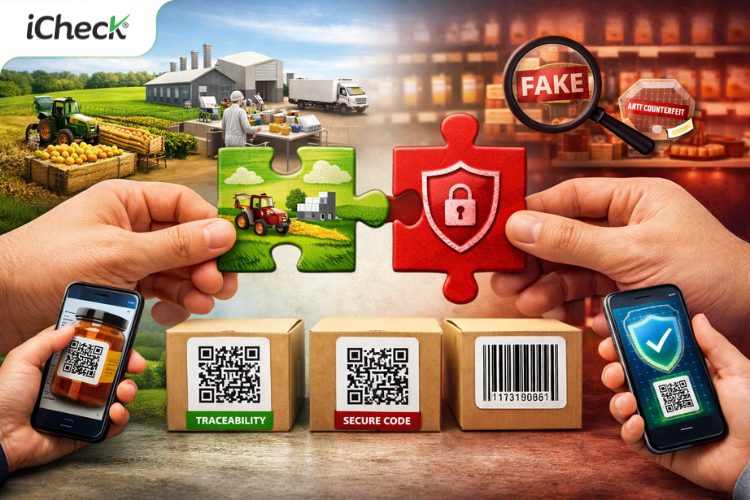 Doanh nghiệp nên kết hợp cả 2 giải pháp