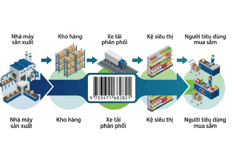 Mã số mã vạch giúp nhận diện và theo dõi sản phẩm xuyên suốt chuỗi cung ứng từ nhà máy sản xuất, kho hàng, vận chuyển, kệ siêu thị đến người tiêu dùng.