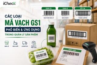 Minh họa c&aacute;c loại m&atilde; vạch GS1 phổ biến gồm EAN-13, EAN-8, ITF-14, GS1-128 v&agrave; GS1 DataBar c&ugrave;ng ứng dụng tr&ecirc;n sản phẩm b&aacute;n lẻ, bao b&igrave; nhỏ, th&ugrave;ng carton v&agrave; logistics.