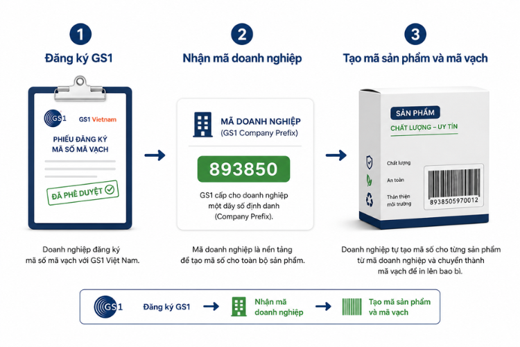 Minh họa quy trình đăng ký mã số mã vạch GS1 gồm đăng ký với GS1, nhận mã doanh nghiệp và tạo mã vạch cho sản phẩm.