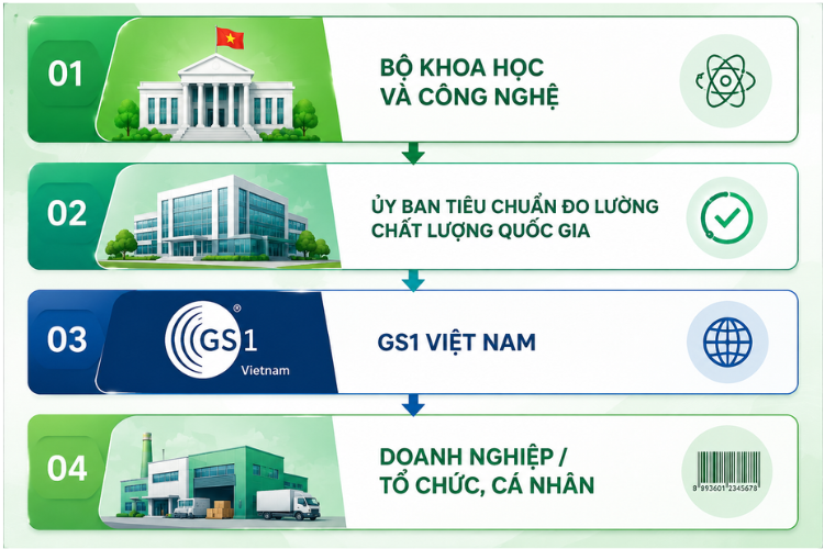 Sơ đồ cơ quan quản lý mã số mã vạch tại Việt Nam gồm Bộ Khoa học và Công nghệ, Ủy ban Tiêu chuẩn Đo lường Chất lượng Quốc gia, GS1 Việt Nam và doanh nghiệp sử dụng mã số mã vạch.