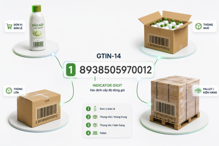 GTIN-14 sử dụng Indicator Digit để phân biệt các cấp độ đóng gói như thùng carton và pallet của cùng một sản phẩm.