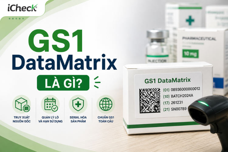 GS1 QR Code trên bao bì sản phẩm thực phẩm, minh họa khả năng truy xuất nguồn gốc, quản lý lô sản xuất và hiển thị thông tin sản phẩm bằng điện thoại.