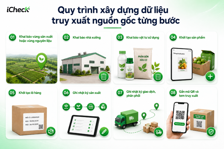 Quy trình xây dựng dữ liệu truy xuất nguồn gốc từng bước
