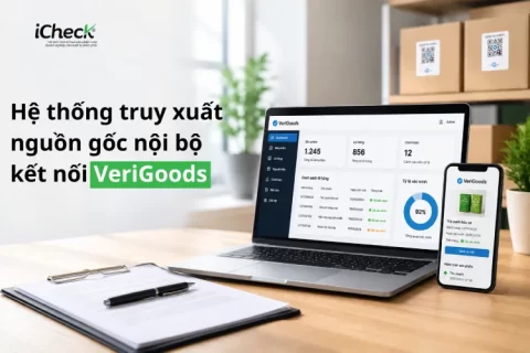 Hệ thống truy xuất nguồn gốc nội bộ kết nối VeriGoods là gì