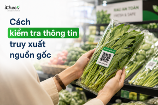 Cách kiểm tra thông tin truy xuất