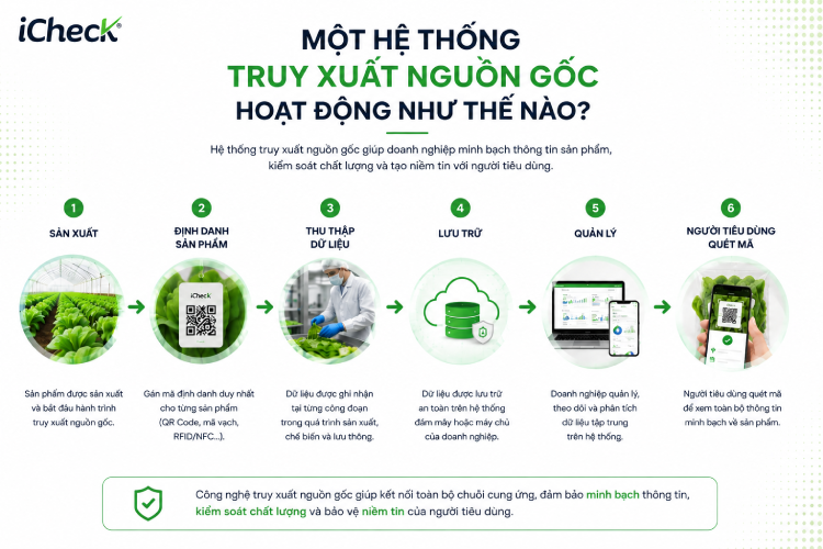Một hệ thống truy xuất nguồn gốc hoạt động như thế nào?
