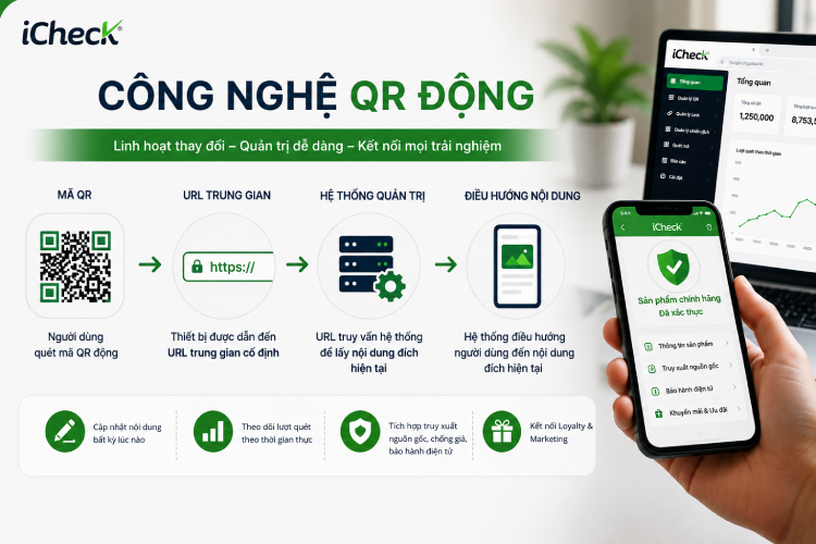 Mã QR động cho phép doanh nghiệp cập nhật nội dung linh hoạt, theo dõi lượt quét và quản lý dữ liệu tập trung