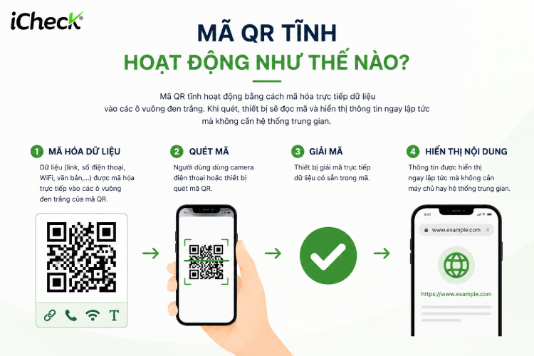 Quy trình hoạt động của mã QR tĩnh từ mã hóa dữ liệu đến hiển thị nội dung sau khi quét.