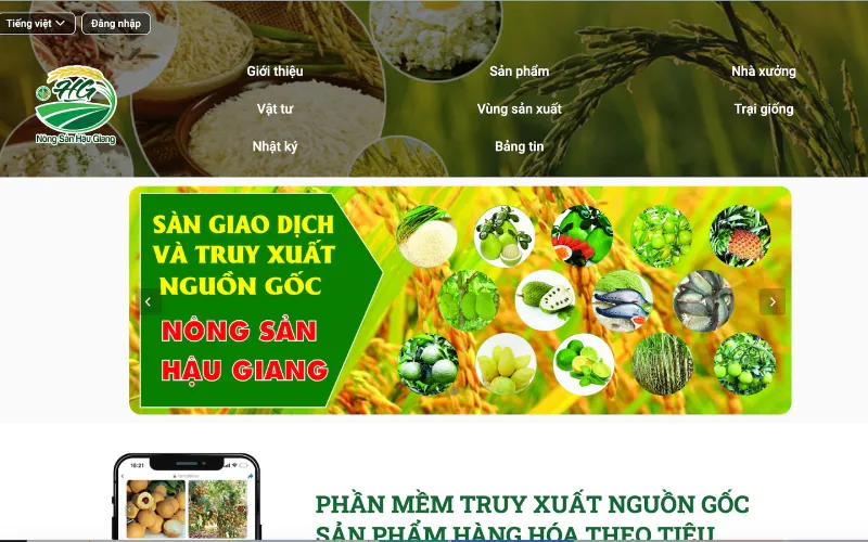iCheck triển khai website truy xuất nguồn gốc "Nông sản Hậu Giang"