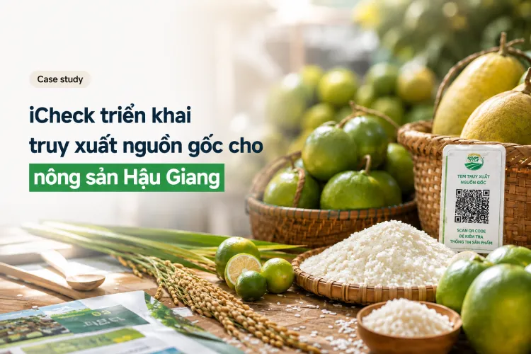 Case study: iCheck triển khai truy xuất nguồn gốc cho nông sản Hậu Giang
