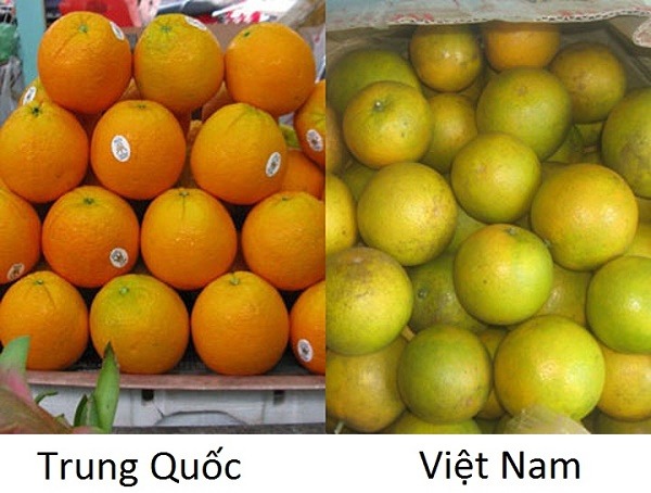 Rau củ quả Trung Quốc tràn lan thị trường Việt