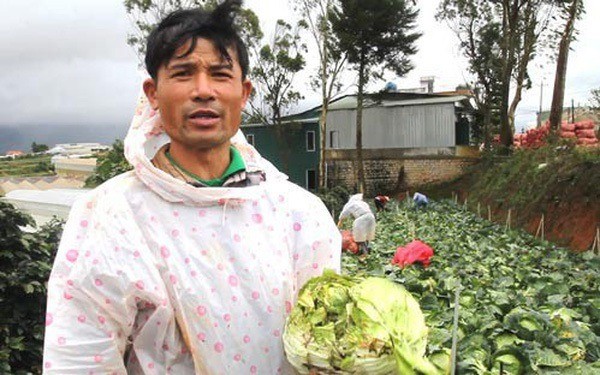 Nông dân Đà Lạt lo lắng khi xuất hiện nông sản Trung Quốc